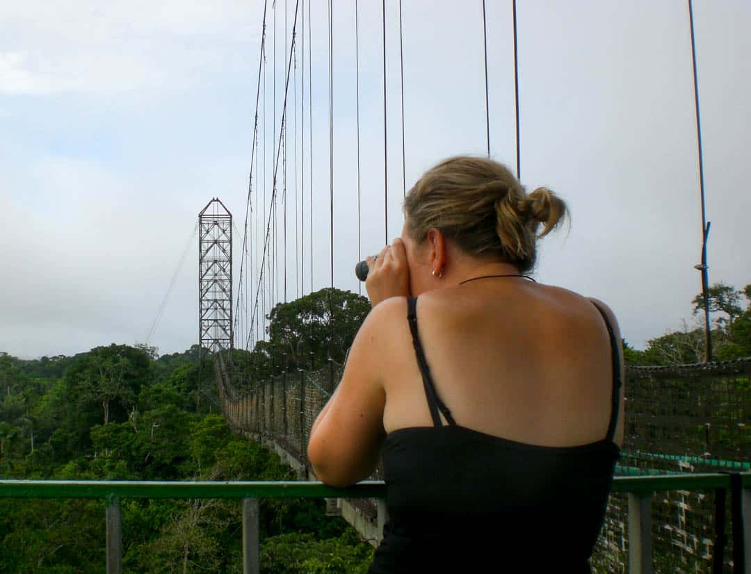 Looking over the treetops from the canopy walkway at Sacha Lodge.