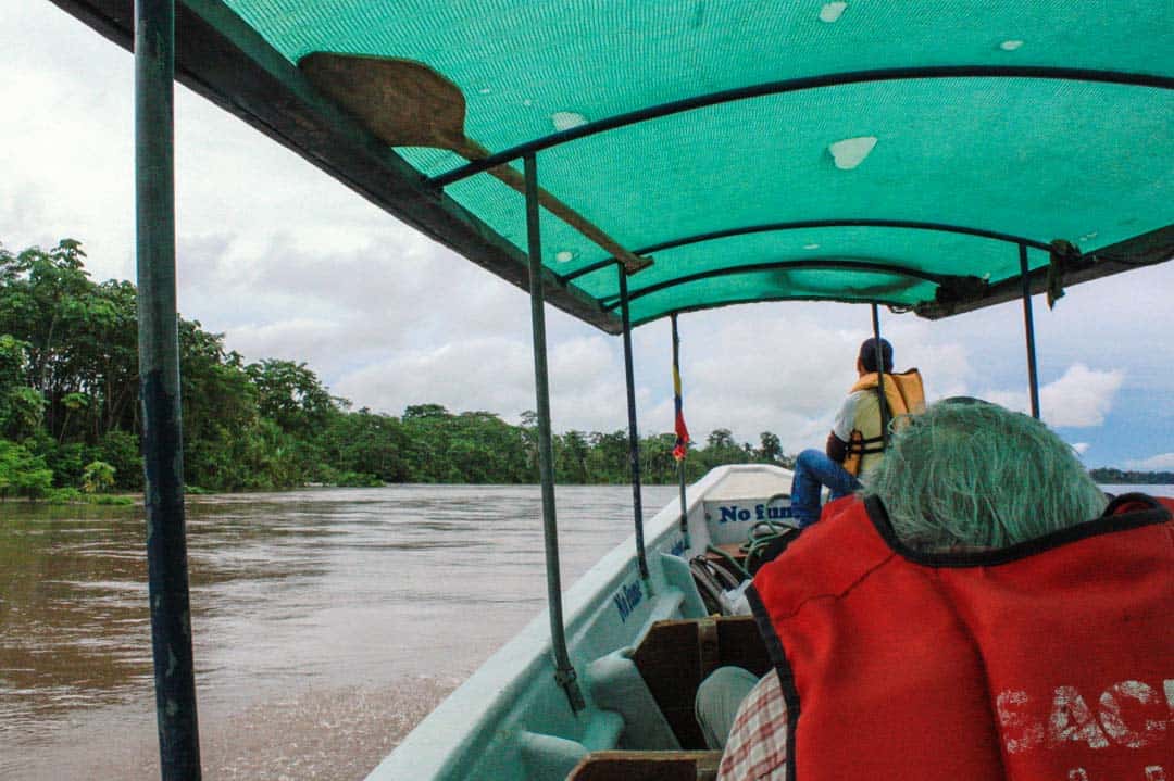 Green jungle touches brown river outside the speedboat on an Ecuador Amazon rainforest trip.