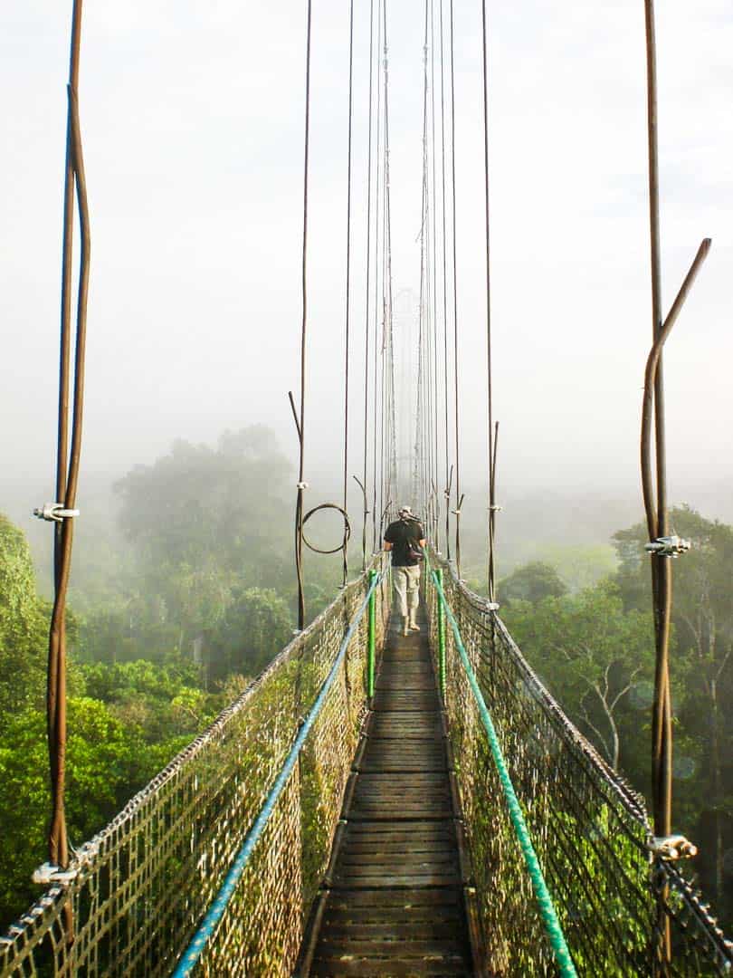 The treetops canopy walk at Sacha Lodge rises above the Amazon jungle.
