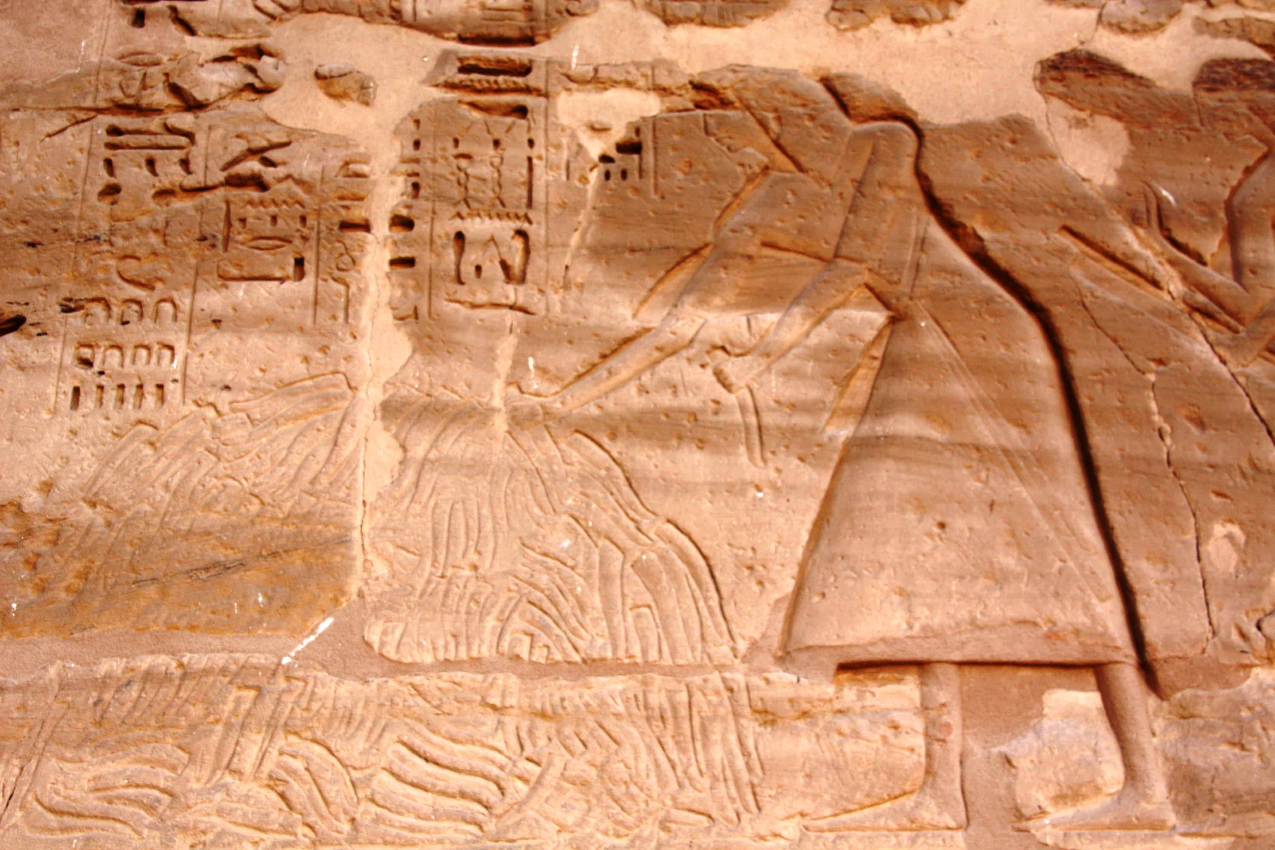 Wall carving in the temple of Medinet Habu in Luxor shows scribes collecting castrated parts of fallen enemies.