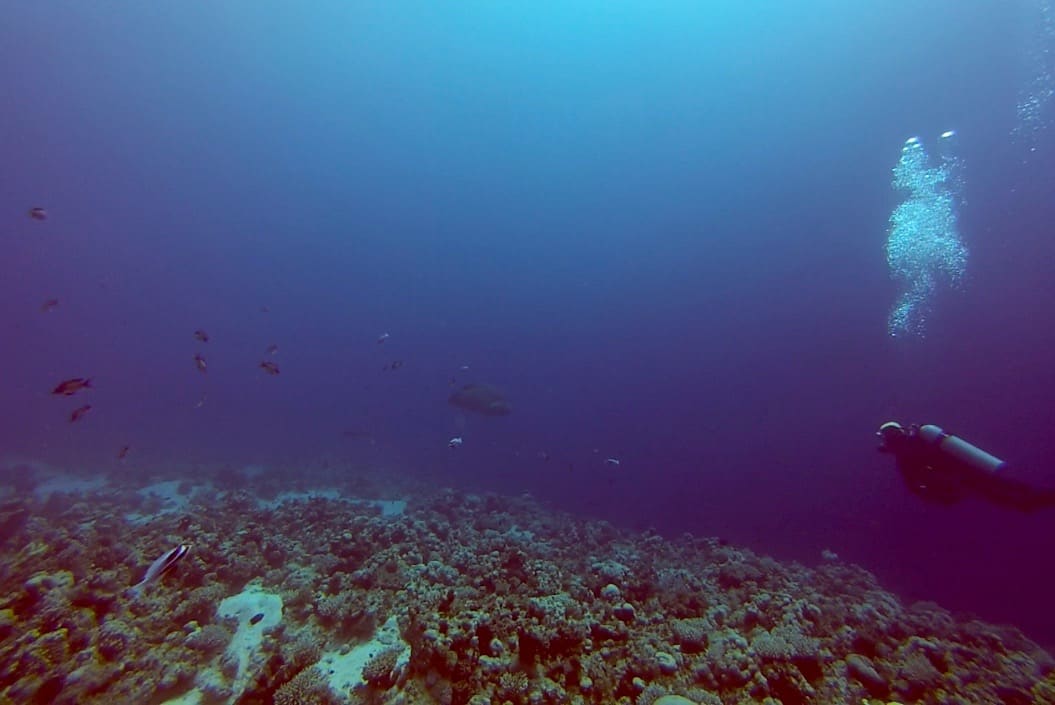 Dahab Diving 12