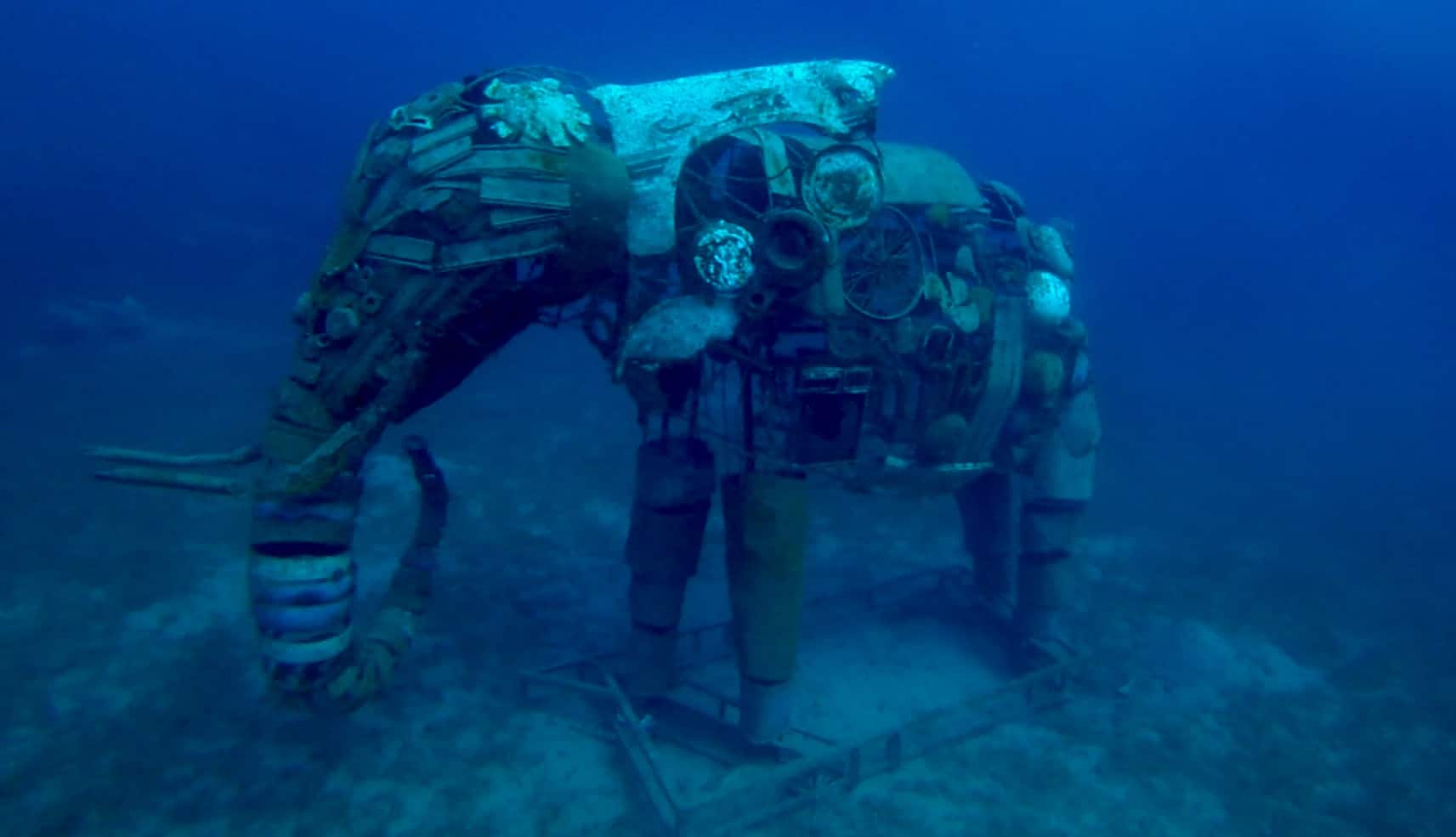 Dahab Diving 3