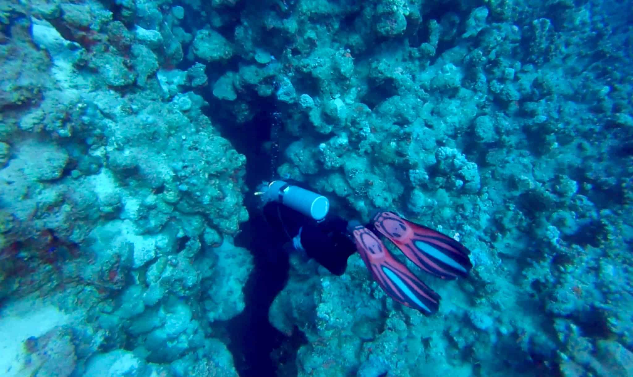 Dahab Diving 6