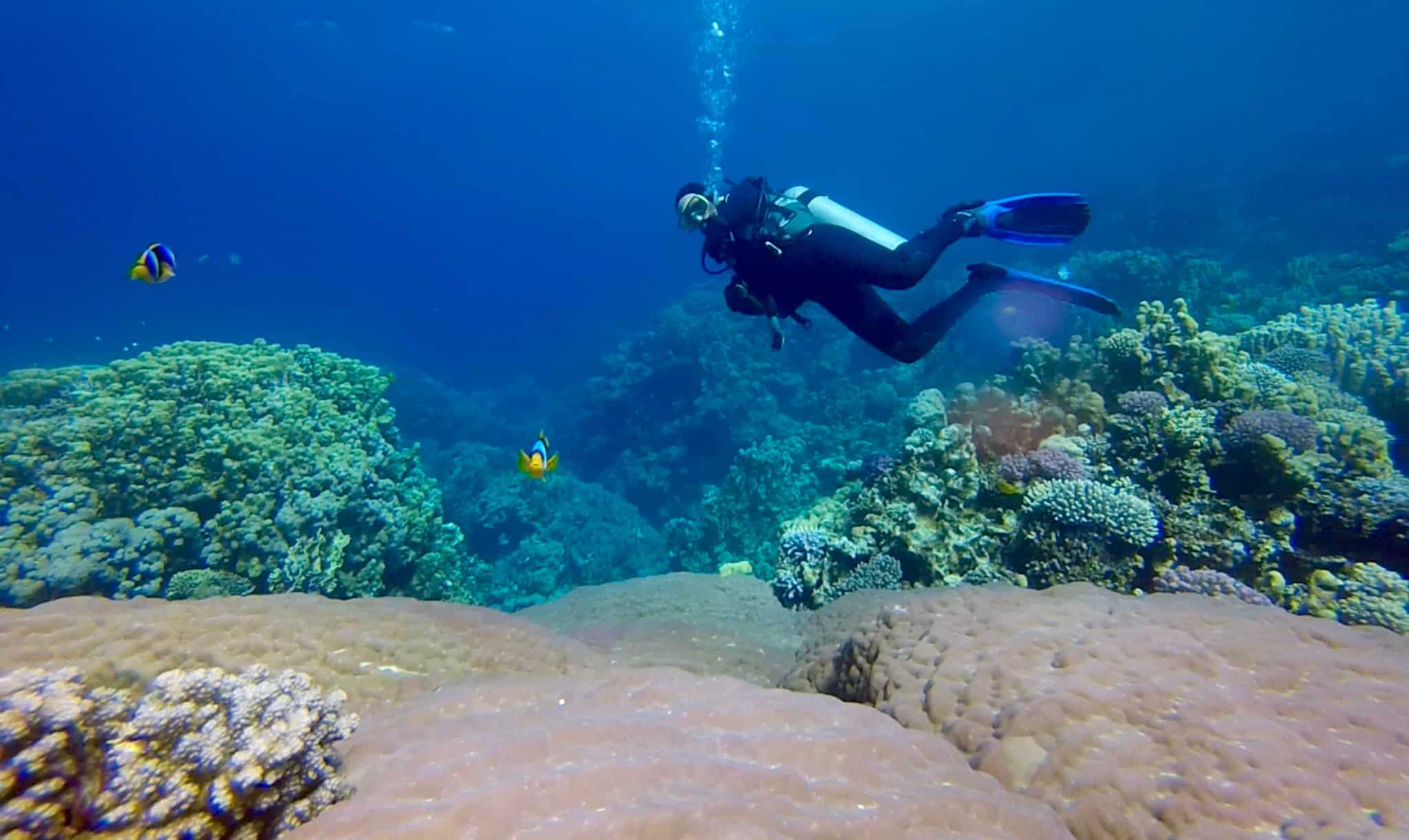 Dahab Diving 8