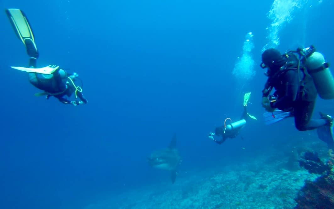 Bali Diving 51