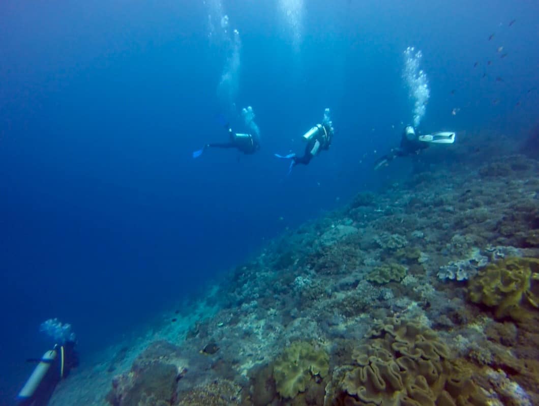 Bali Diving 9