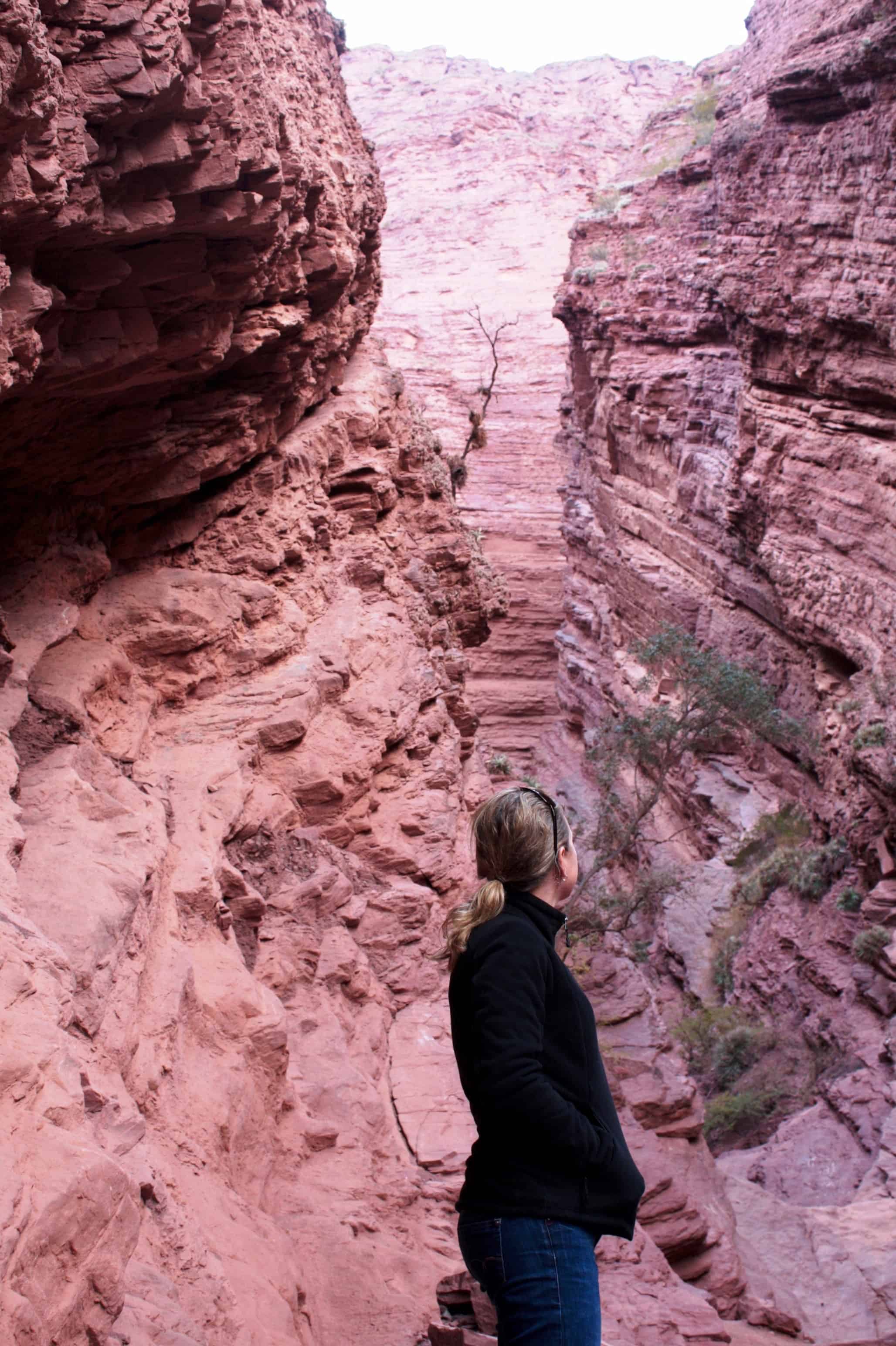 Quebrada de Cafayate, Argentine Andes