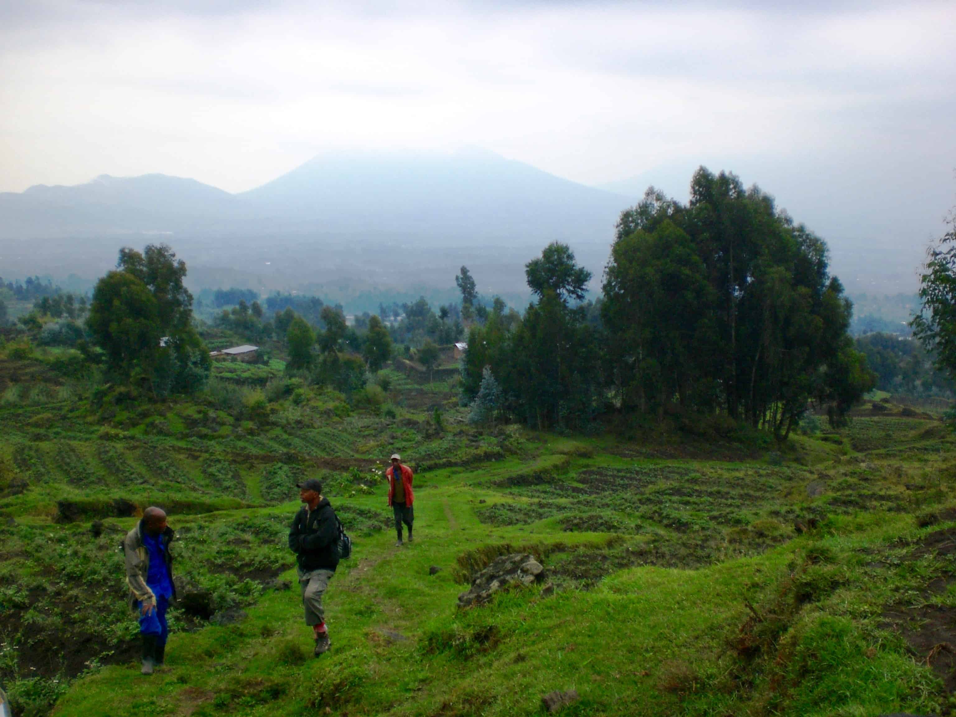 Rwanda gorilla trekking - Views towards the volcanoes of Virunga.