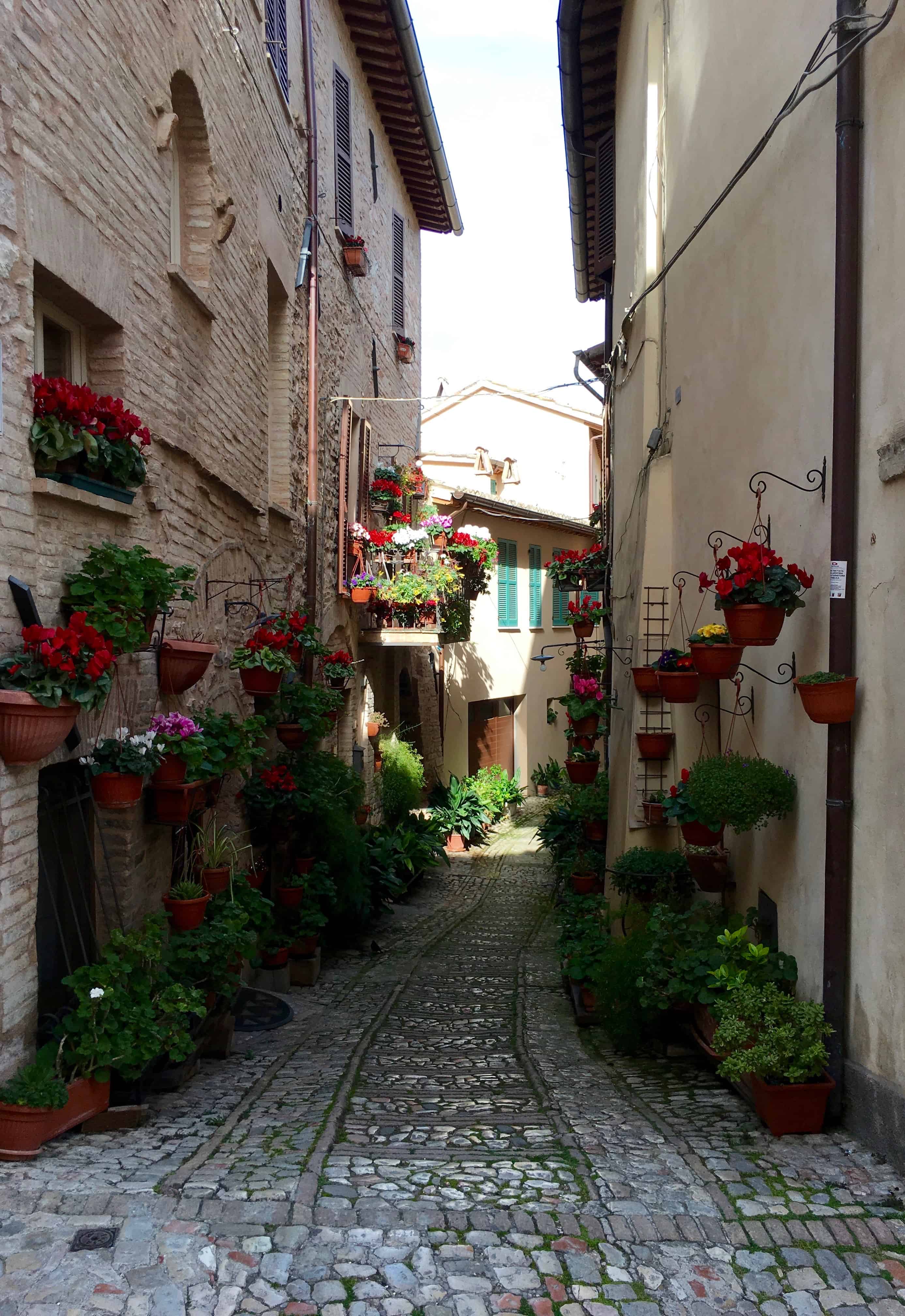 Assisi streetscape