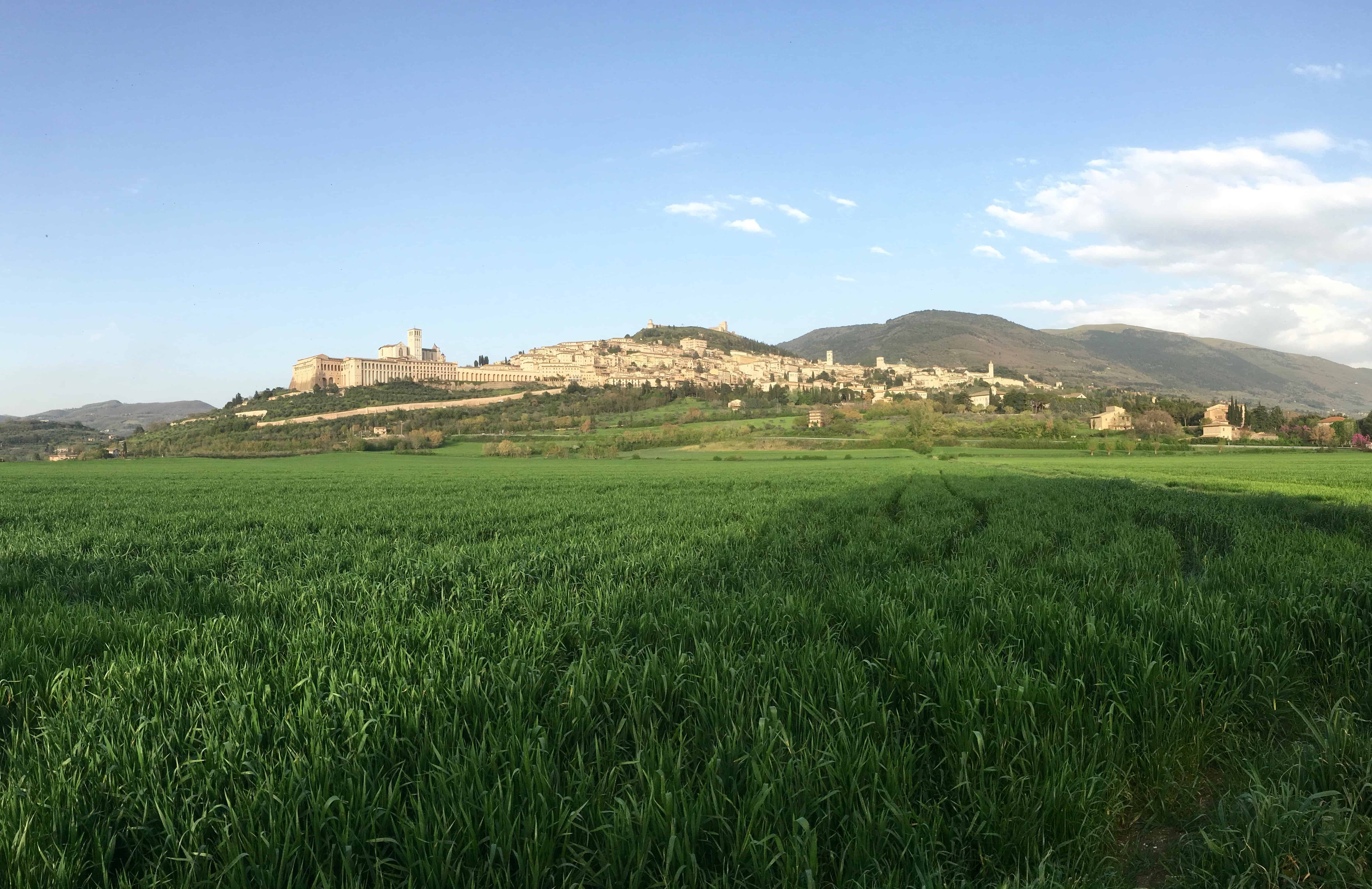 View of hill town Assisi from the valley below, Italy