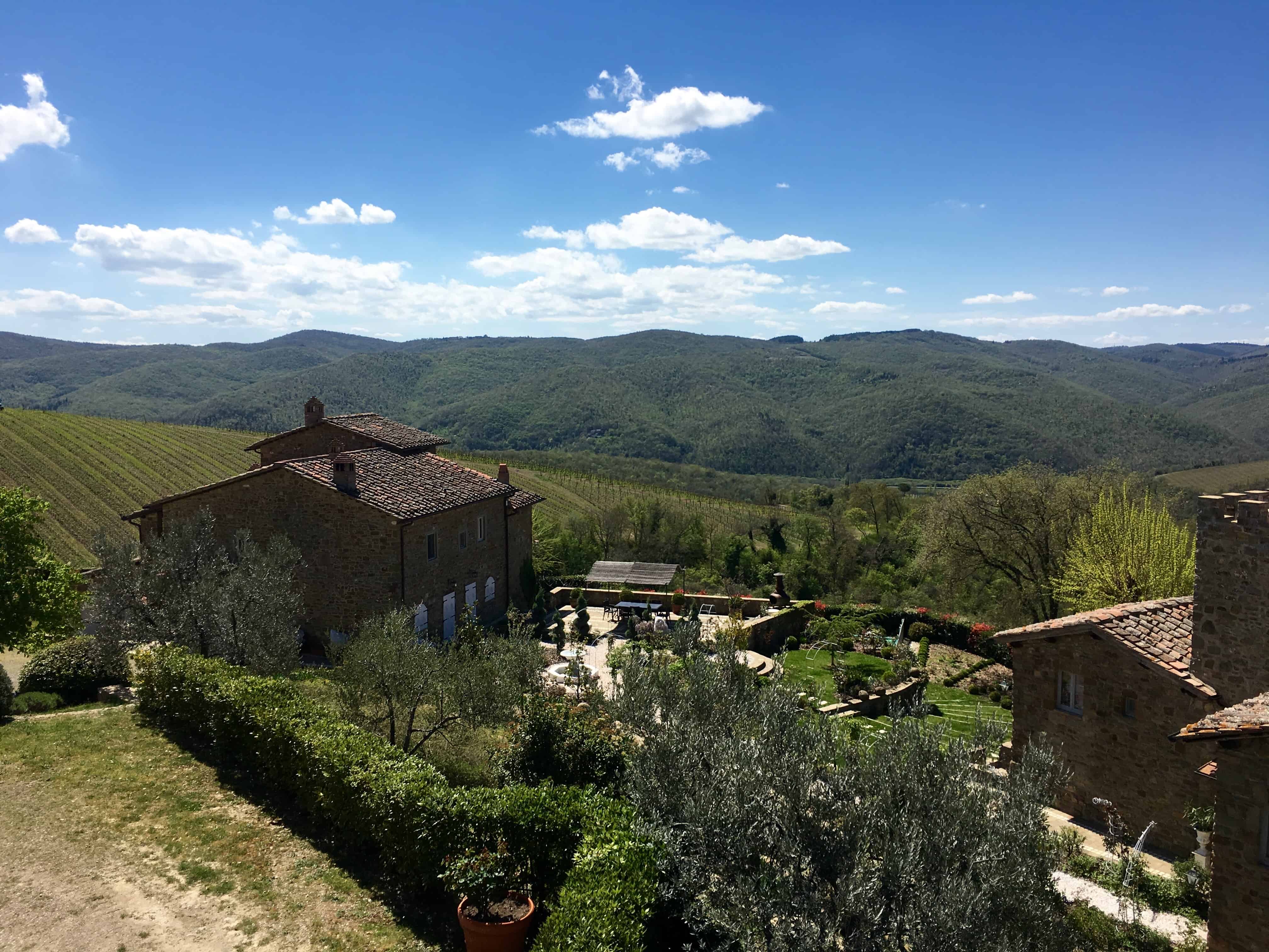 Vineyard in Chianti, Italy