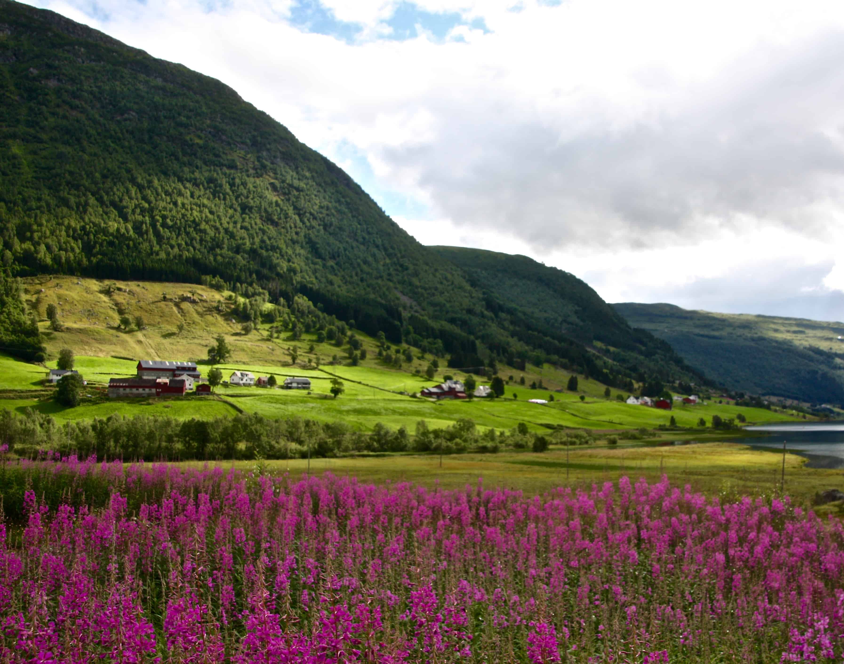 flowers-and-valley-norway