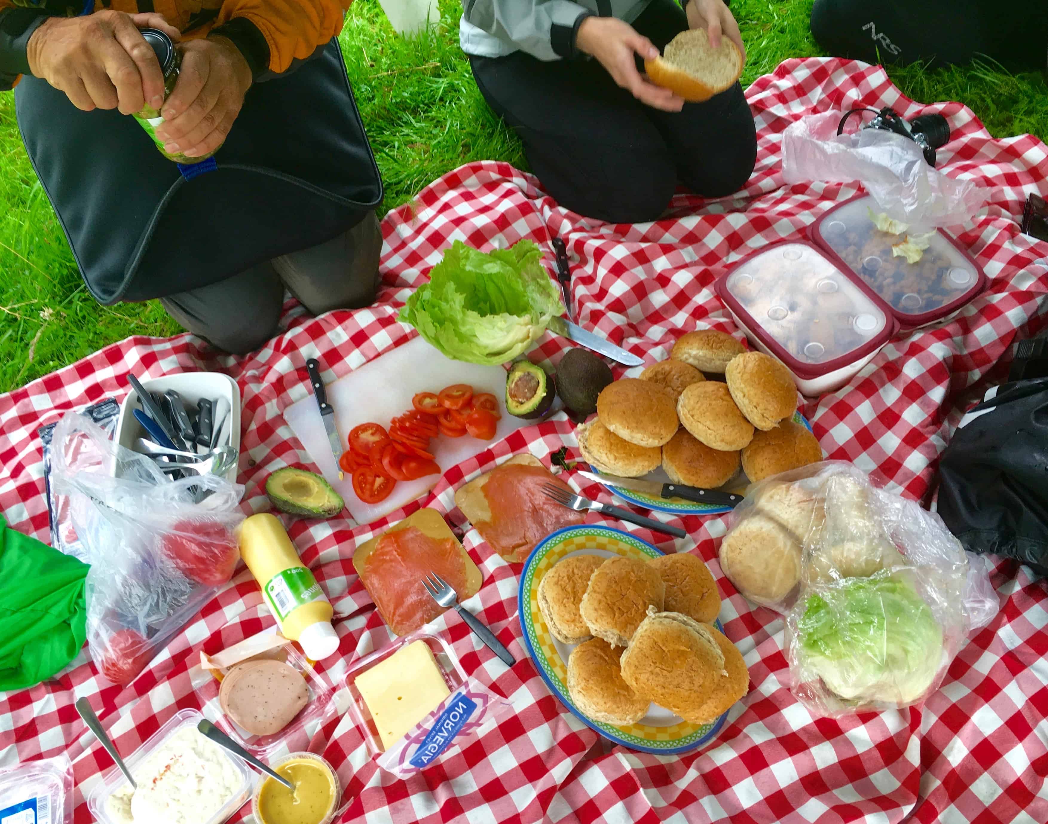 Lunch spread on kayak tour