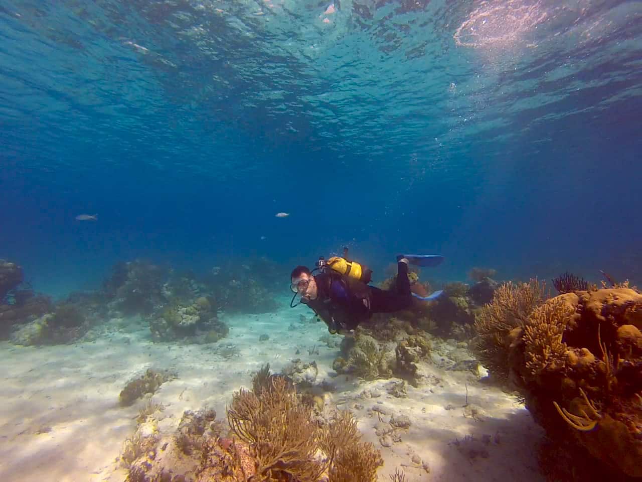 John swims past corals on a dive in the Bay Of Pigs 