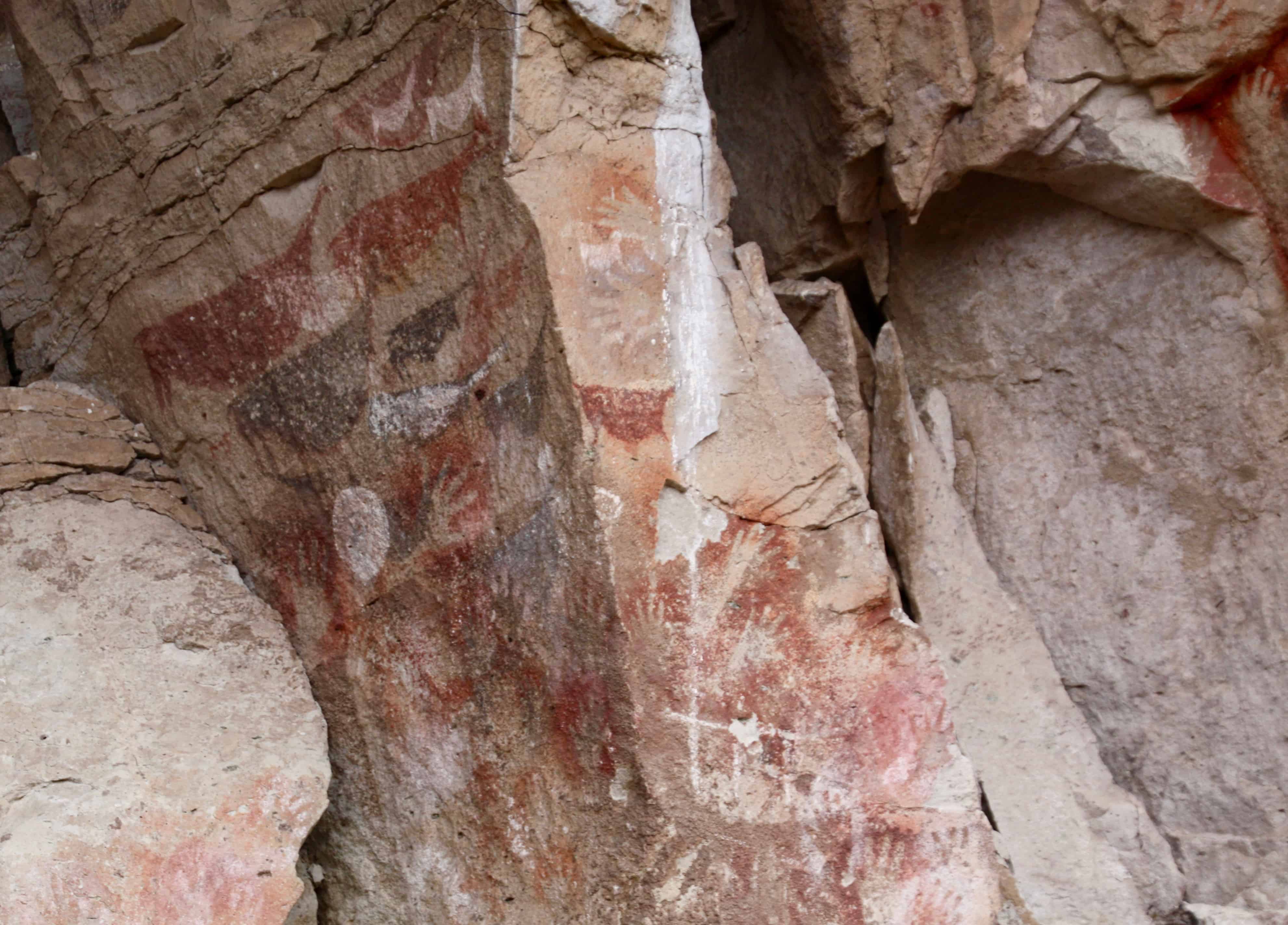 Ancient rock art of pregnant guanacos at Cueva de Las Manos