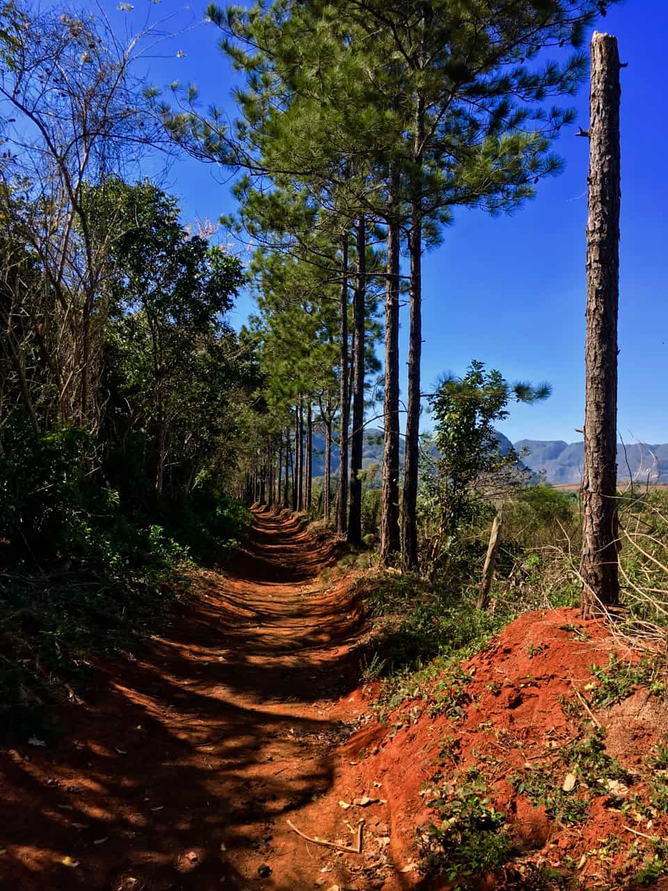 Riding Trail in Vinales