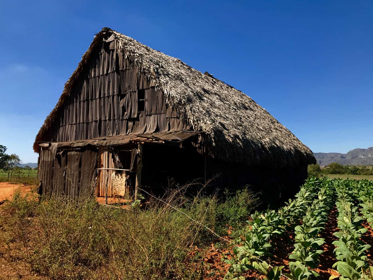 Tobacco drying house