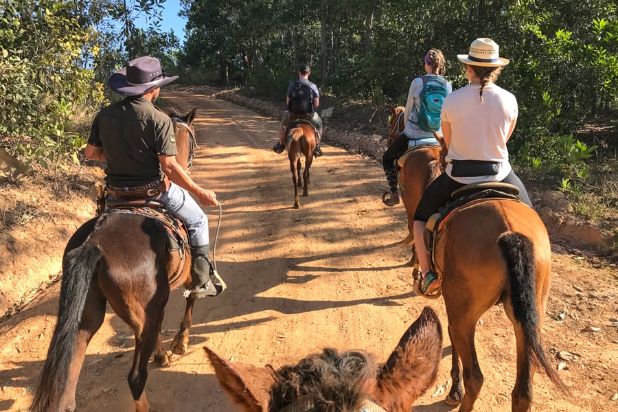 Planning a trip to Cuba: A group of people horseriding in Vinales.