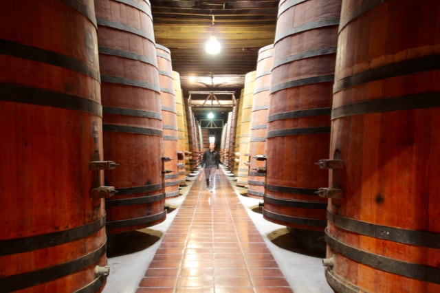 Huge oak wine barrels line a room at Cousino Macul winery in Santiago.