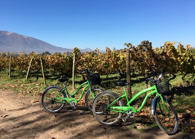 Green bikes parked next to vineyards on a Bike and Wine Tour of the Maipo Valley in Santiago.