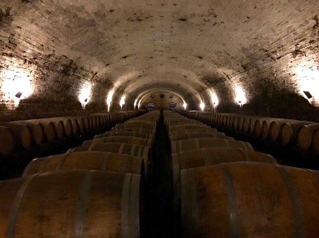 Oak barrels fill a vaulted cellar on a wine tour in Santiago.