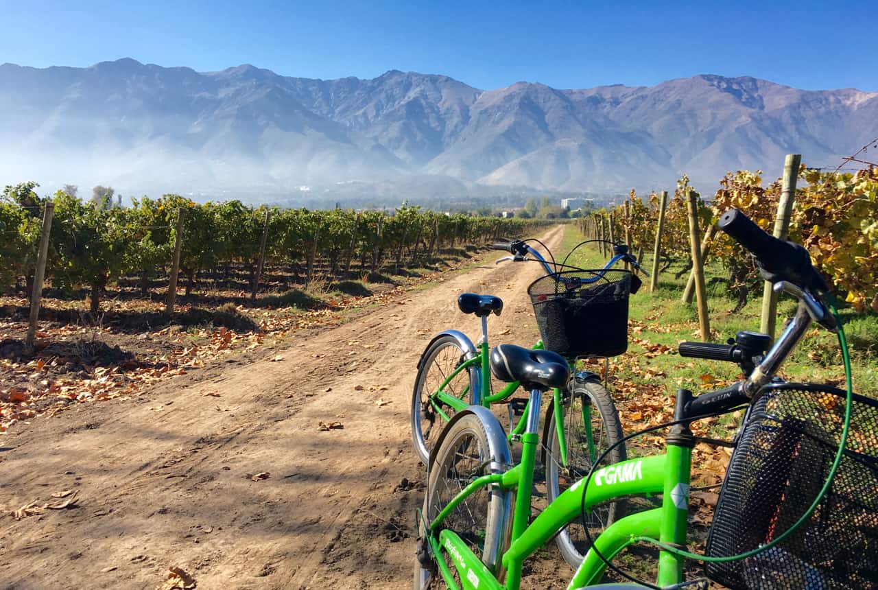 Things to do in Santiago - Bike and wine tour at Cousiño Macul winery in Santiago's Maipo Valley.