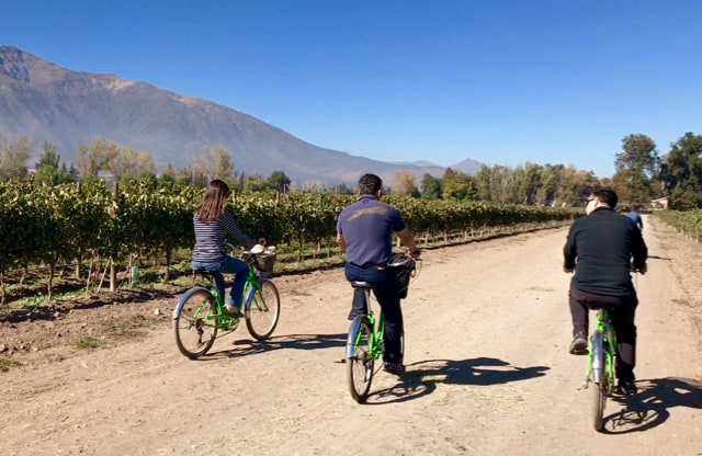 Three tourists cycle through the vineyards of Cousino Macul on a Santiago Bike and Wine Tour.