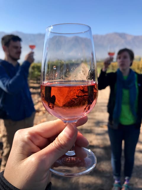A glass of Rose wine is held up for view on a wine tasting tour in Santiago.