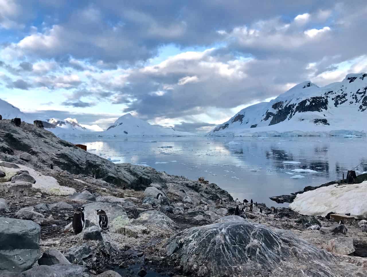 Two molting penguin chicks sit on the rocks at Brown Station in this image of Antarctica.