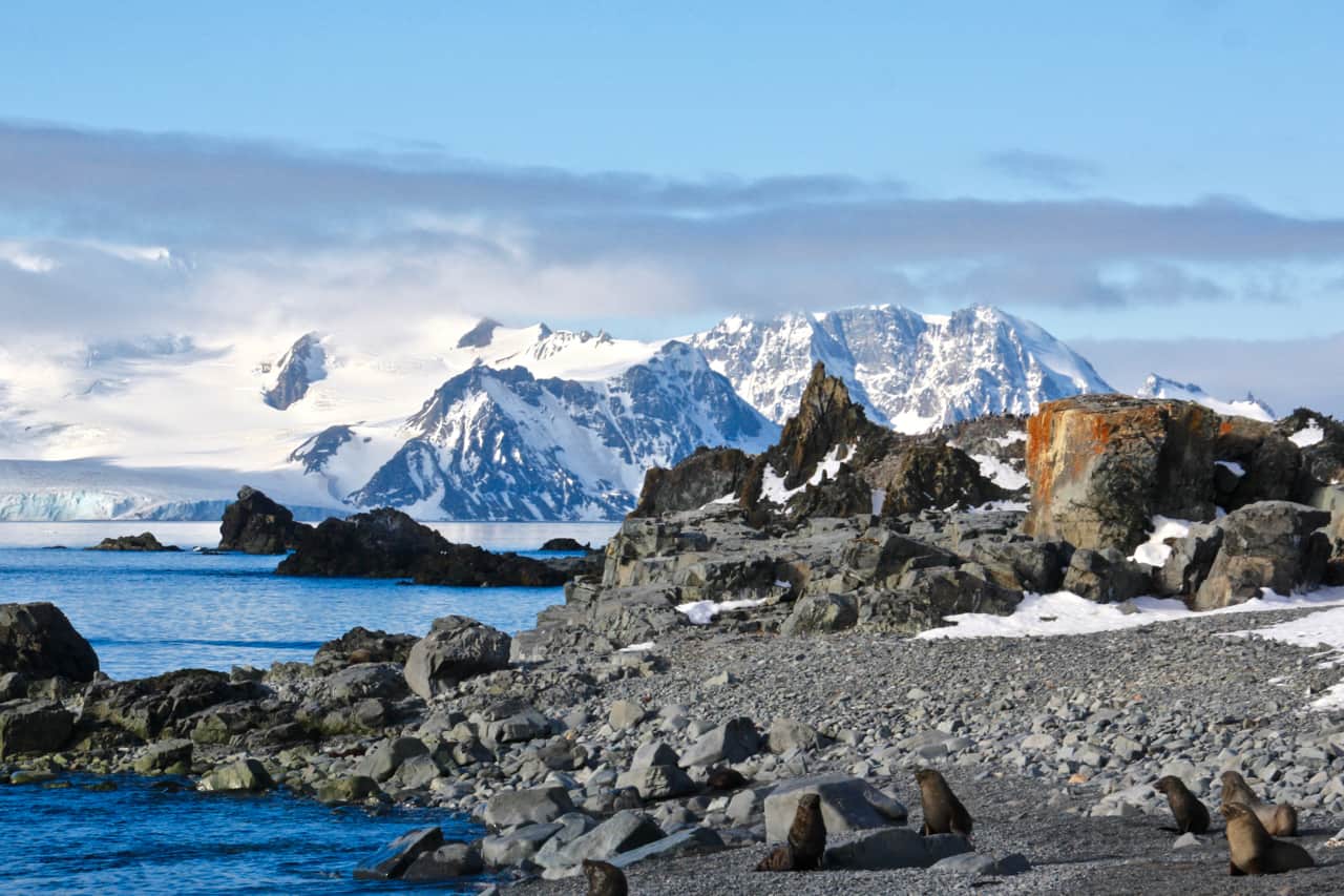 Seals rest on a rocky shore with sow-capped mountains rising in the background at Half Moon Bay in Antarctica.