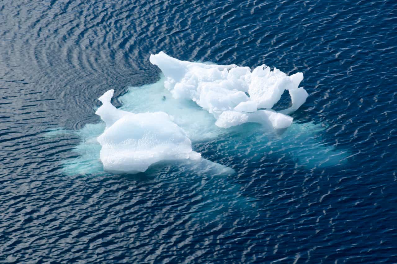 A jagged iceberg floats near Half Moon Island in Antarctica