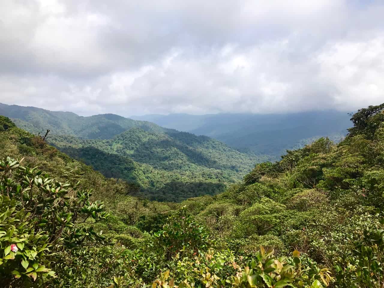 näkymä mantereelle Monteverde-Pilvimetsästä, joka on Costa Rican parhaita puistoja.