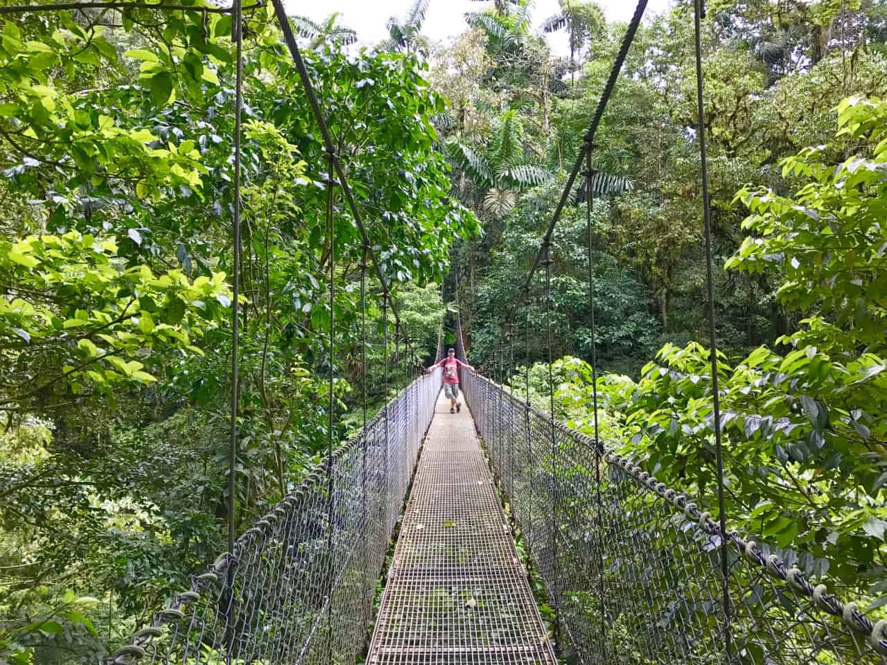 요한은 코스타리카의 공원 인 미스티 코의 캐노피 위에 매달려있는 다리에 서 있습니다.