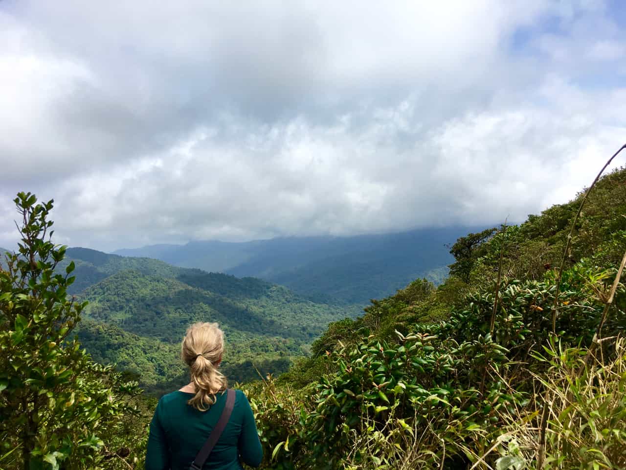 Blick auf die kontinentale Wasserscheide vom windigen Mirador La Ventana im Nebelwald von Monteverde.