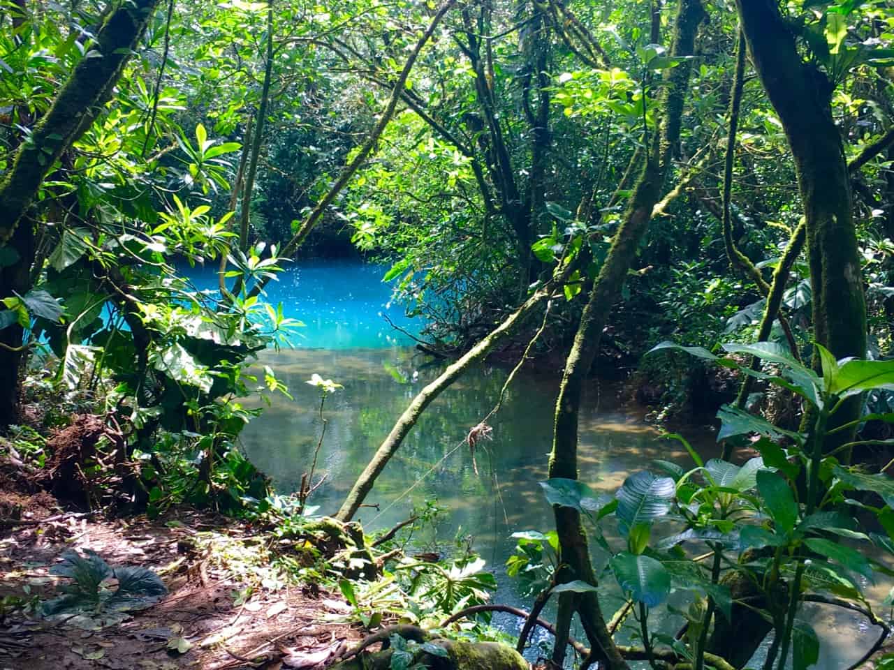 Los Teñidores in Costa Rica, waar twee heldere waterrivieren samenkomen en één blauw wordt.