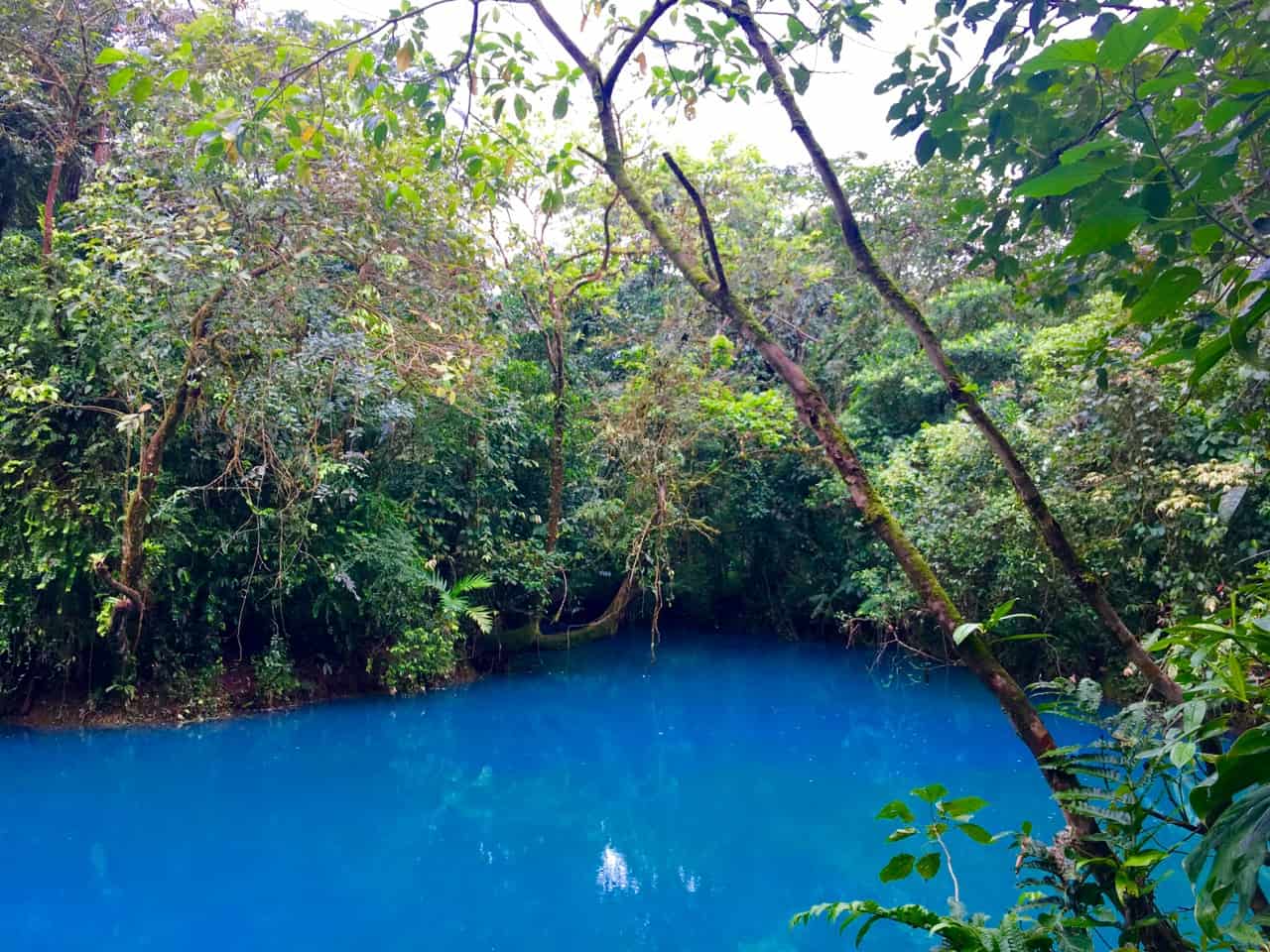 Pozo Azul v Národním parku Tenorio je živá obloha modrá kvůli minerálům. 