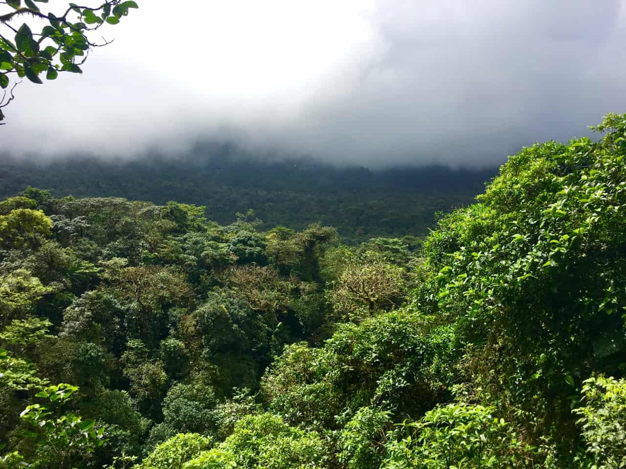 Wolken bedekken het bos en verdoezelen het zicht op de vulkaan Tenorio in Costa Rica.
