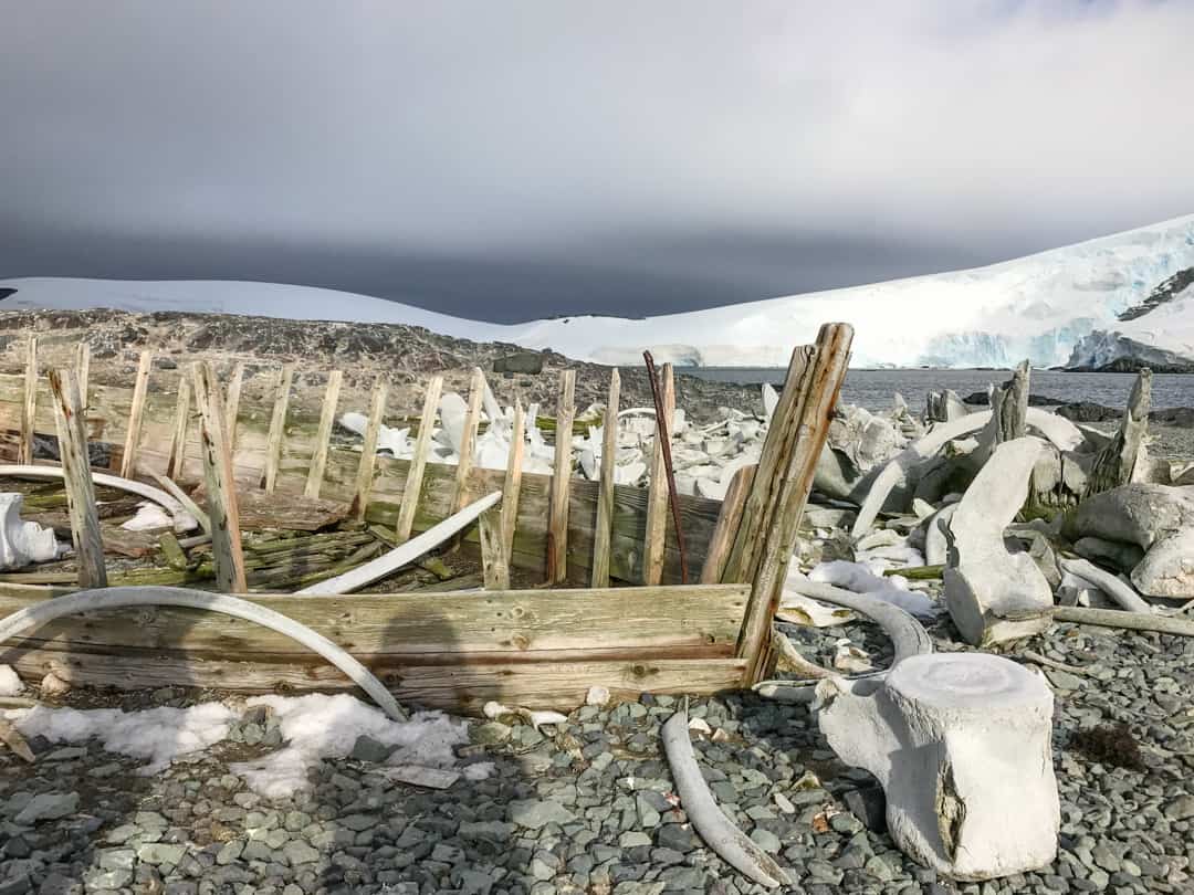 Scattered Whale Bones and The Frame Of A Whaling Boat Tell The Human History Of Antarctica.