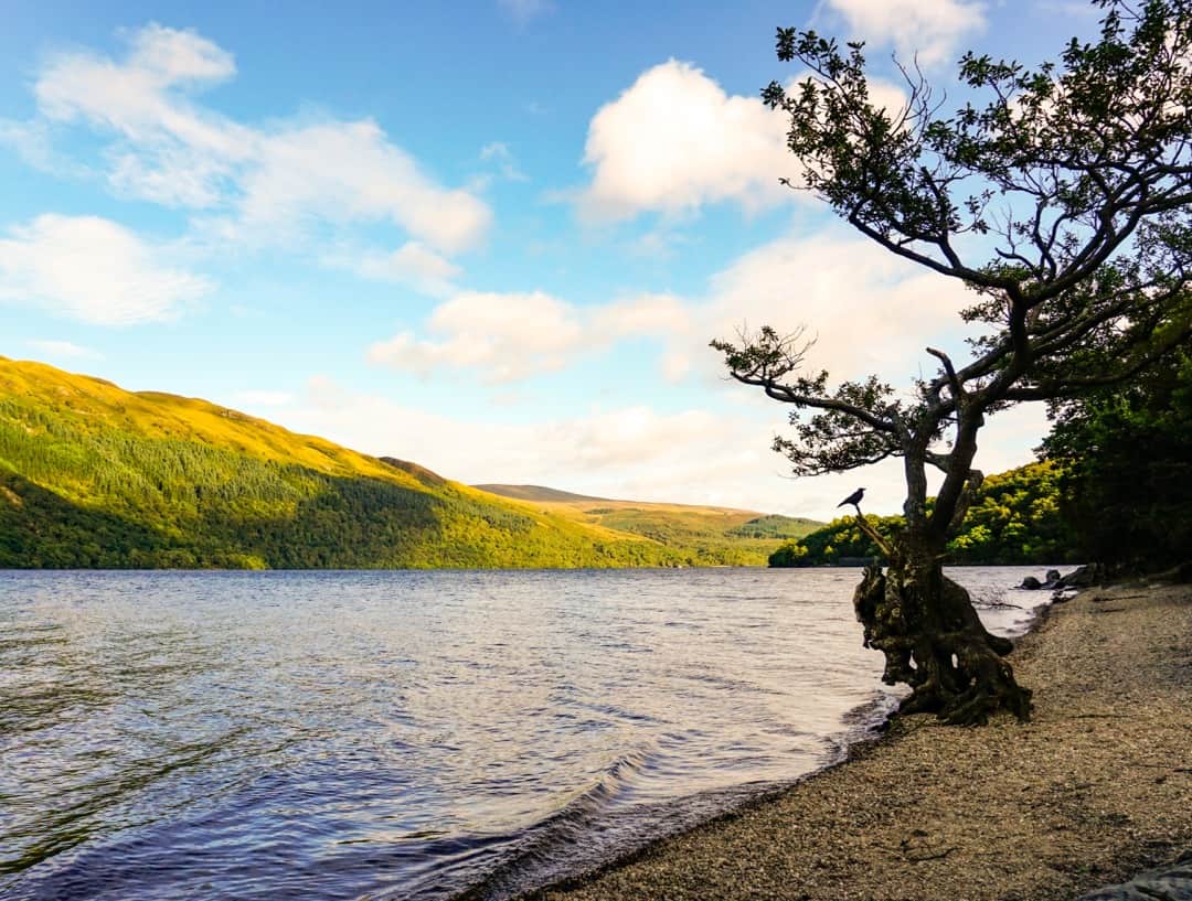 Pretty Loch Lomond is our last farewell to the Highlands.