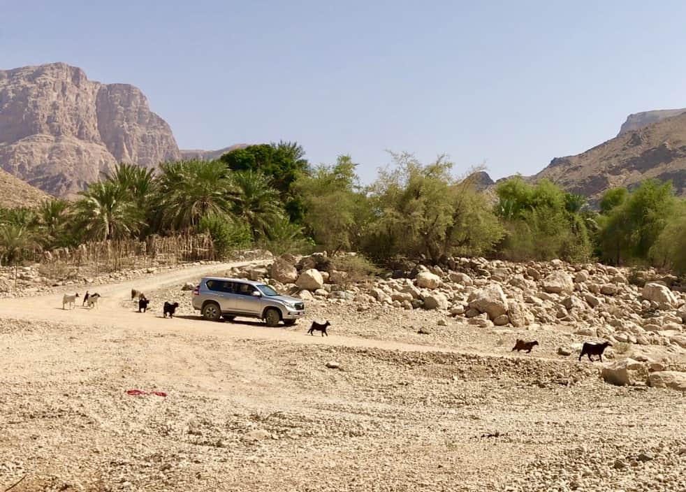 Planning A Trip To Oman - Oman 4WD