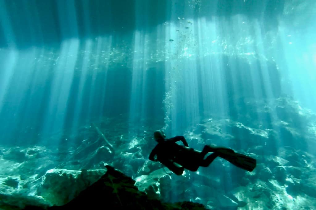 Looking back at 2017, cenote diving in Mexico was a scuba highlight. 