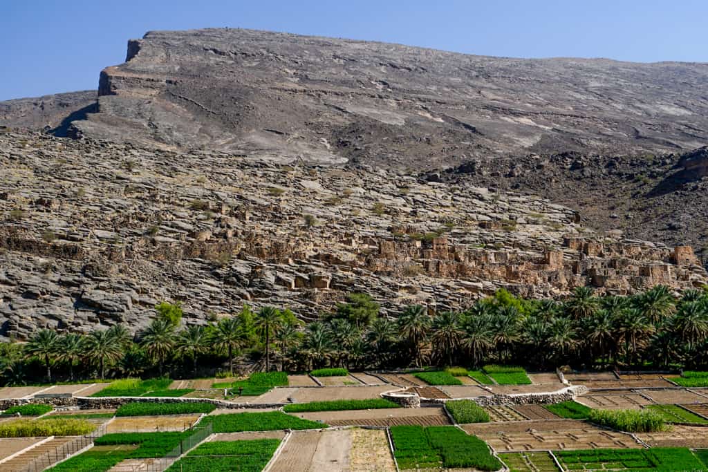 Oman photos – the adobe houses of Al Hamra sitting at the foot of the Hajar Mountains.