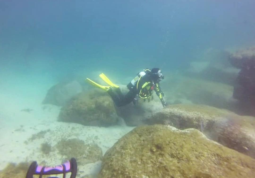 Experience Sydney under the waves by diving in Sydney Harbour