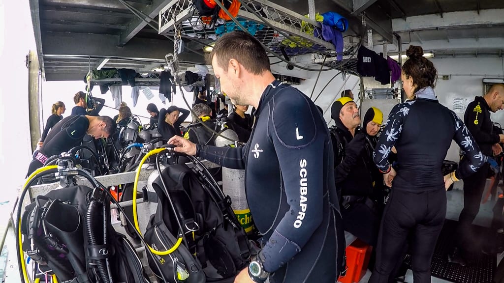A crowded, but well organised dive deck on our Great Barrier Reef liveaboard trip.