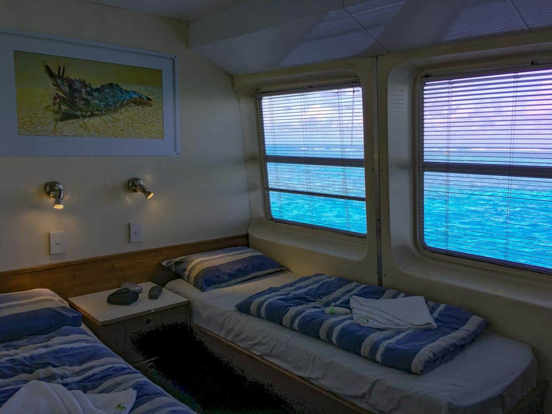 Cabins with a view on our liveaboard diving vessel OceanQuest