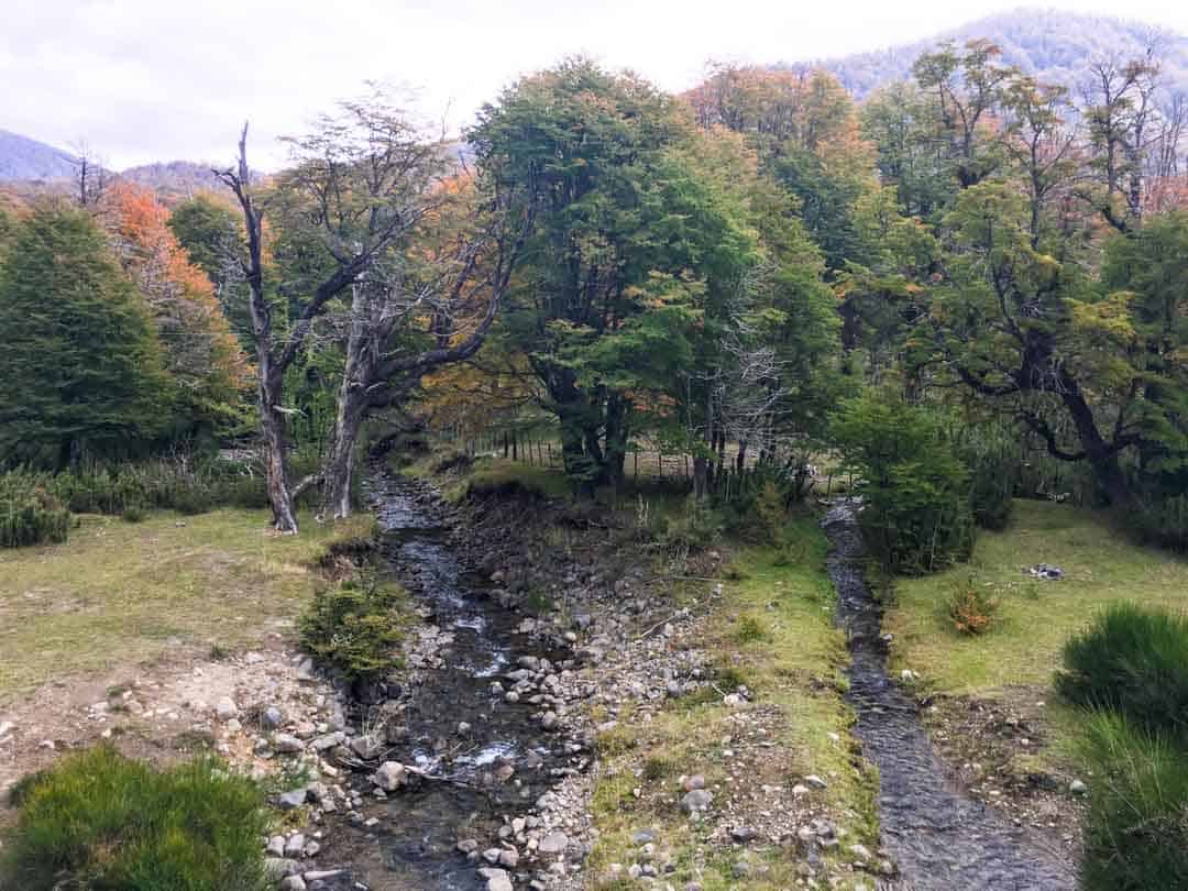 The streams of the Arroyo Partido on the Route of the Seven Lakes.