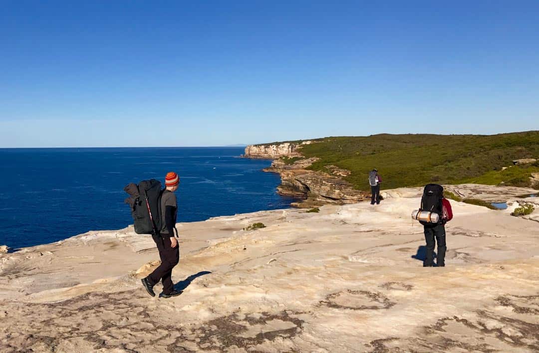 Rugged cliff views along the Royal Coast Track.