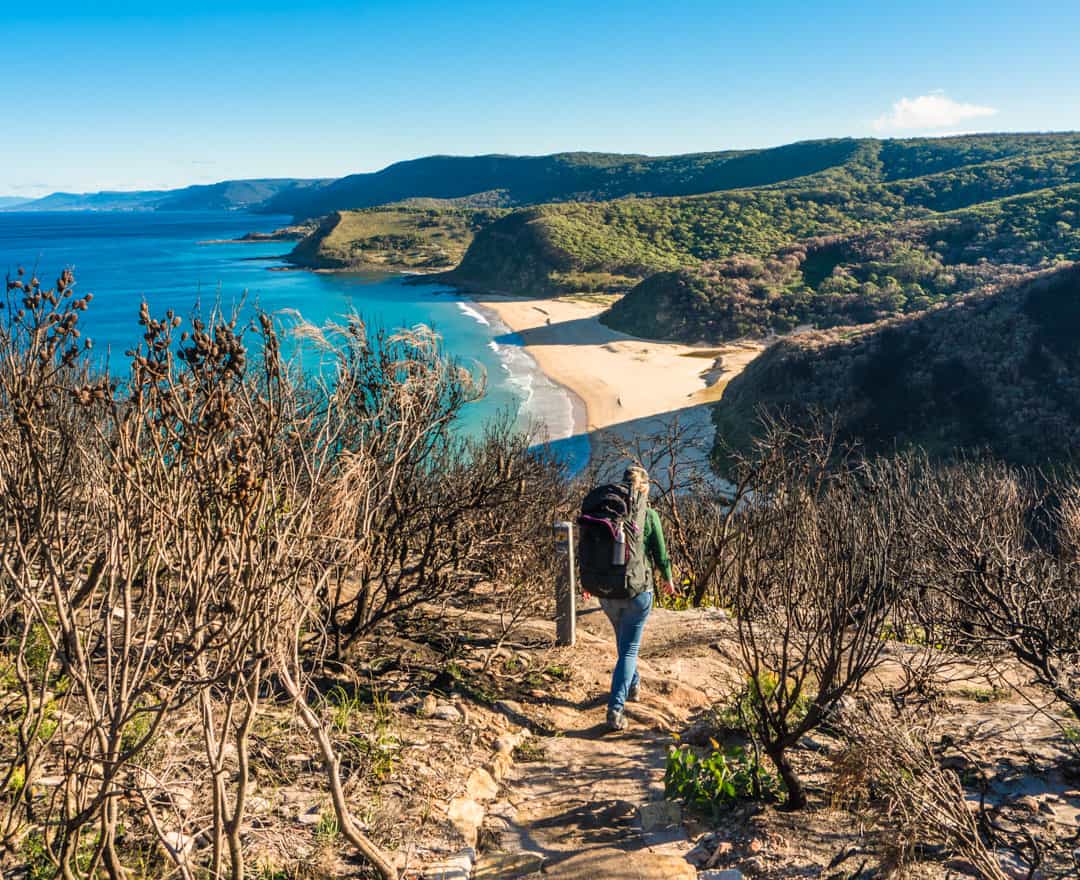Views south over Garie Beach on the Coast Track, one of Sydney's best hikes.