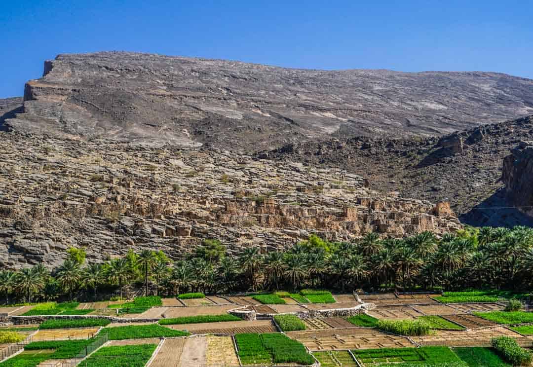 The ancient town of Al Hamra rises above patchwork farms on day 10 of our Oman road trip.