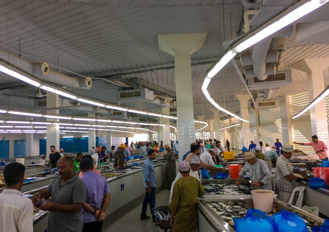 Busy Mutrah Fish Market What To Do In Muscat